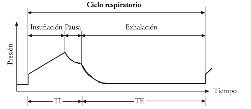 Ciclo respiratorio